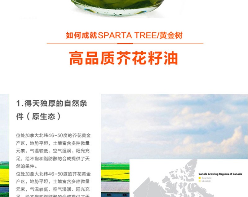 黄金树芥花籽油500ml*2礼盒