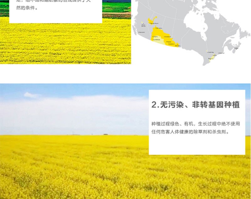 黄金树芥花籽油500ml*2礼盒