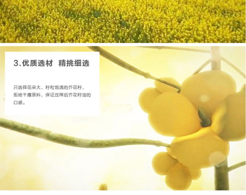 黄金树芥花籽油500ml*2礼盒