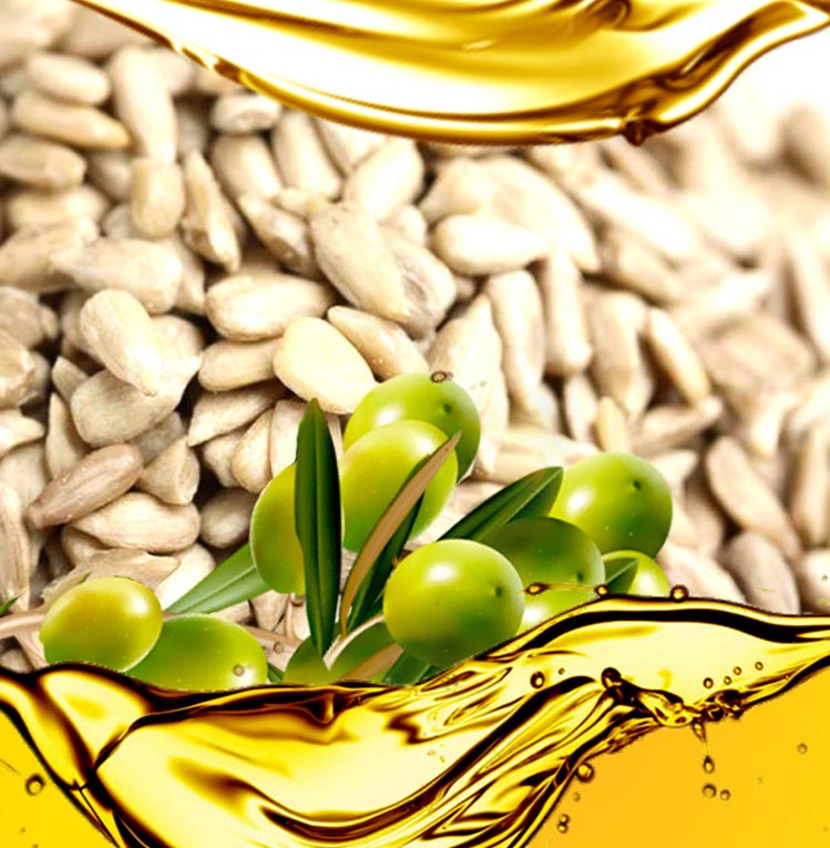 黄金树葵花橄榄籽油1.8L*2礼盒