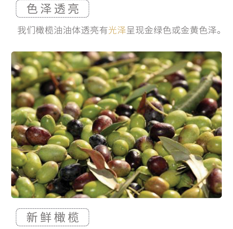 黄金树特级初榨橄榄油1L*2礼盒装