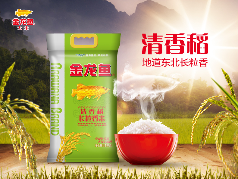 金龙鱼清香稻长粒香米5kg