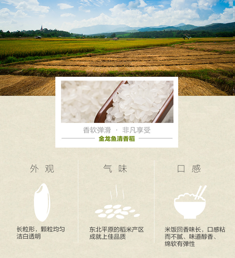 金龙鱼清香稻长粒香米5kg